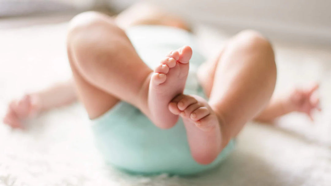 EVOLUDERM- BABY WIPES