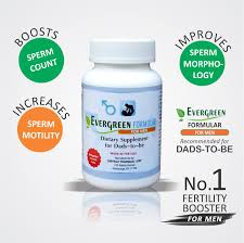 EverGreen Formula For Men X90
